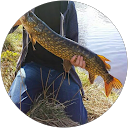 Alexander Löf profile picture